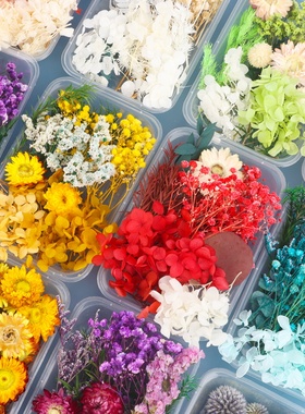 天然干花永生花假花仿真花押花压花儿童手工diy材料包重阳节礼物