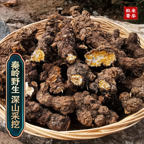 野生苍术中药材正品 黄柏苍术组合 茅苍术黄柏和苍术中药材泡水 - 图2