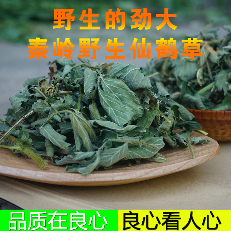 中药材仙鹤草500g新货野生仙鹤草野生龙芽草仙鹤草根仙鹤草粉正品 - 图2