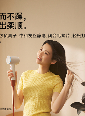 Laifen徕芬高速吹风机SE 2+家用负离子护发速干大风力电吹风筒