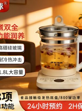 养生壶多功能电热水壶烧