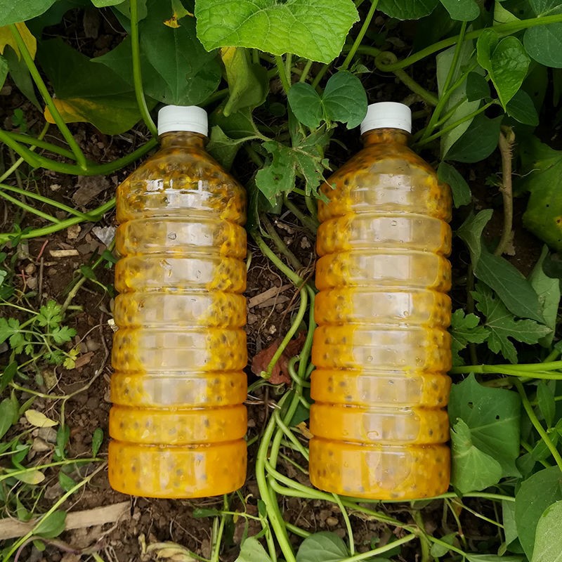 百香果汁酱奶茶店冷冻新鲜果肉果浆图片_4