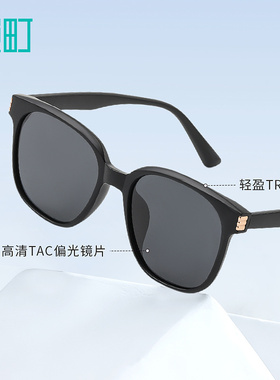 畹町时尚大框偏光太阳眼镜