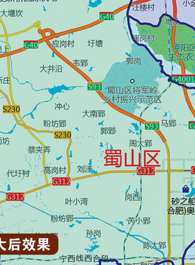 2026新版合肥市挂图墙面装饰画客厅沙发墙壁挂画世界中国挂画
