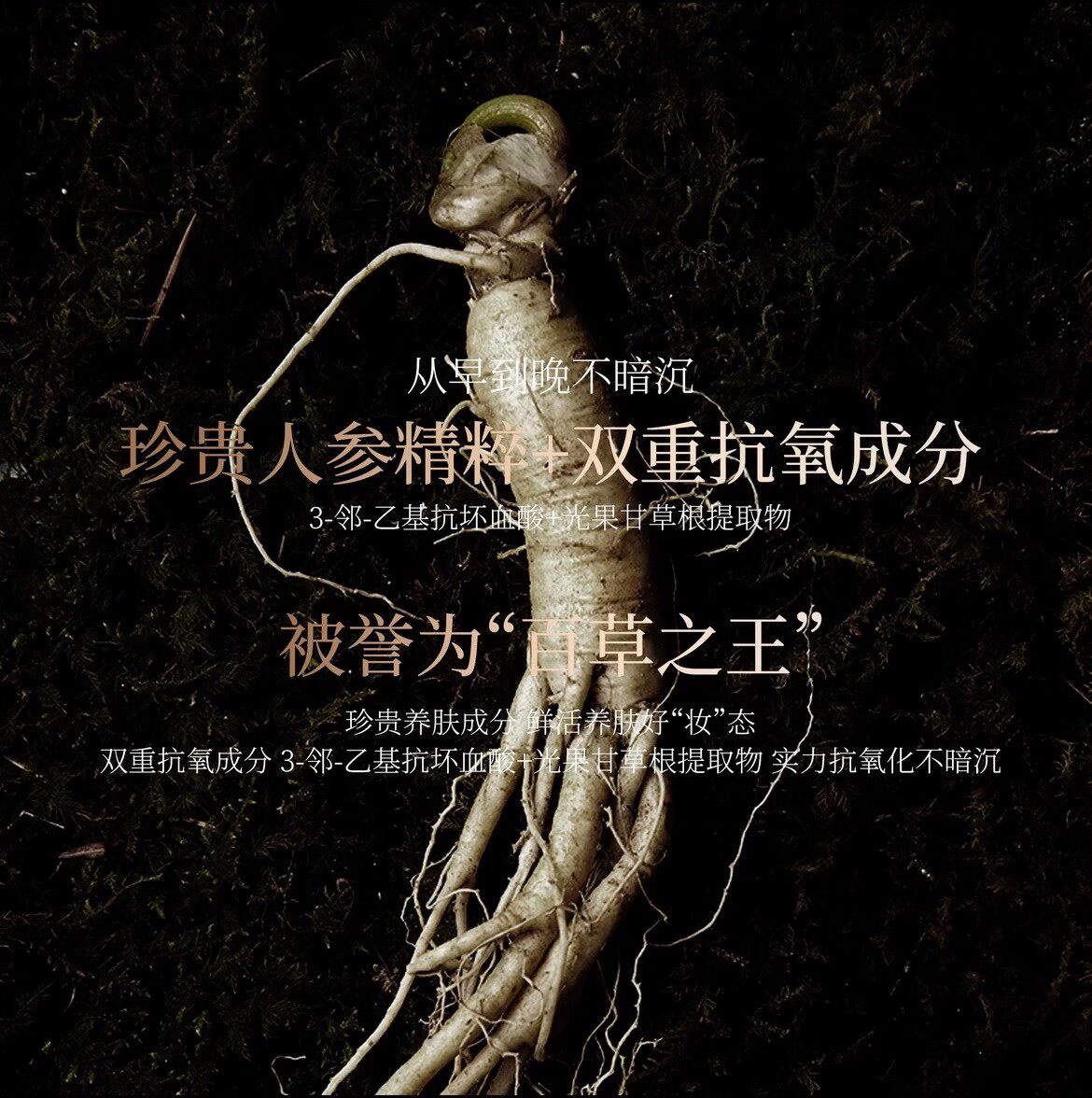 【官方旗舰正品】珀莱斯汀金钻人参养肤三色气垫透亮遮瑕养肤持久 - 图1