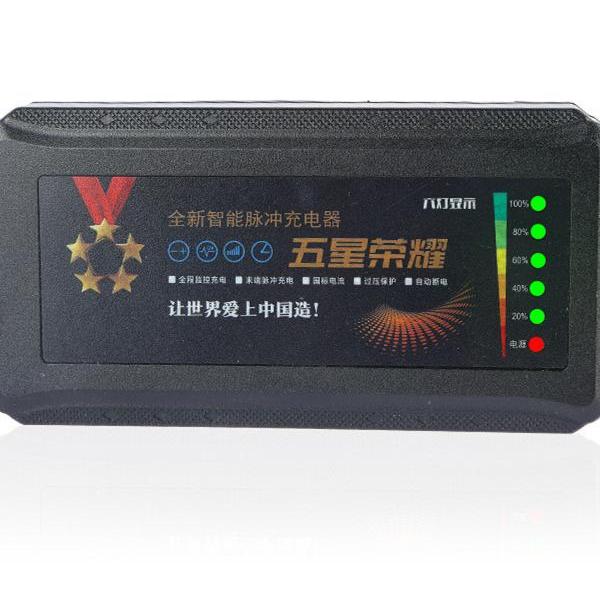 五星荣耀电动车电瓶充电器48v60v72v适用雅迪爱玛台铃自动断电 - 图0