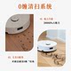 Roborock P20 ສະບັບນ້ໍາດໍາລົງຊີວິດ roller scrubber ແລະ sweeper