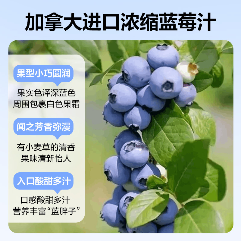网易严选蓝莓汁叶黄素酯浓缩蓝莓原浆纯果蔬汁果汁饮料便携小袋装