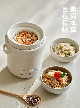 德国新款微压电炖盅0.6L家用迷你