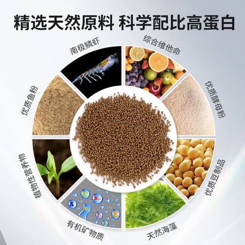 日清招财鱼饲料慈鲷灯鱼热带幼鱼苗斗鱼孔雀鱼通用小颗粒鱼食B1B2 - 图1