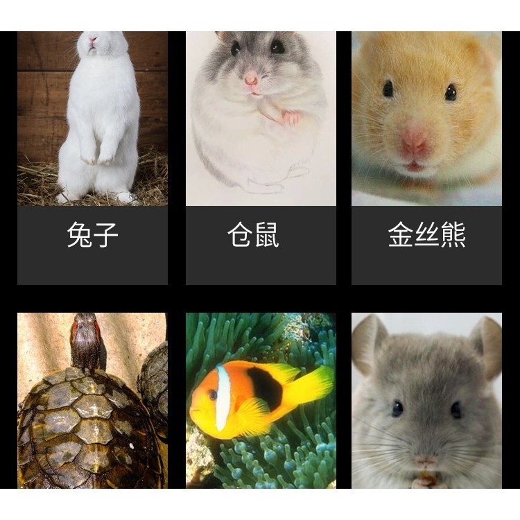 宠物兔子 零食胡萝卜水果蔬菜奶酪饼干荷兰猪龙猫木瓜干零食零嘴,淘宝优惠券,粉丝福利购,淘宝优惠卷