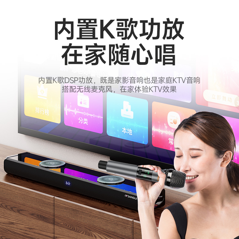 Shanshui 91H home ktv audio package