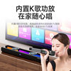 Shanshui 91H home ktv audio package