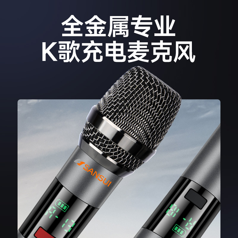 Shanshui 91H home ktv audio package