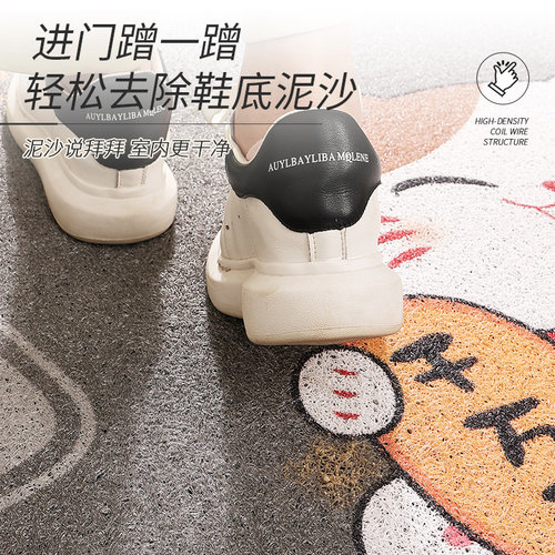 入户门垫进门地垫室内玄关防滑丝圈脚垫2024新款进门口可裁剪地毯 - 图0
