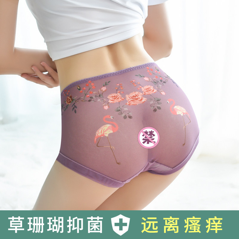大码蕾丝性感抗菌纯棉裆超薄三角裤 紫晴妍女三角裤