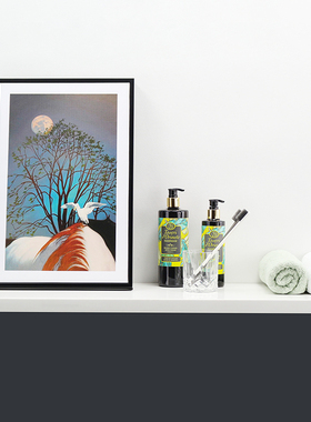 阳台柜摆件装饰画样板房卫浴间