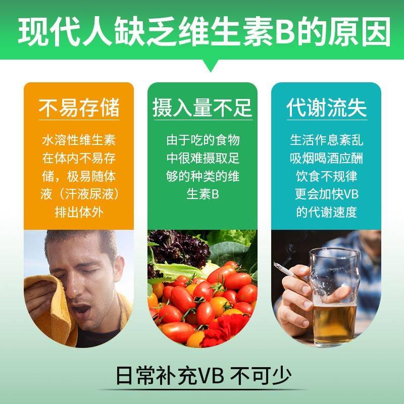 清博士牌多种维生素B族片vb1b2b6b12成人白发脱发补叶酸维生素B9-图0