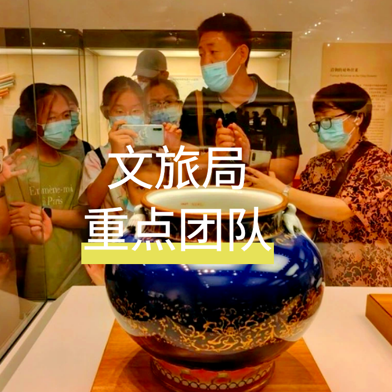 中国国家博物馆【3H讲解含门票10人小团】 亲子研学导游国博深度