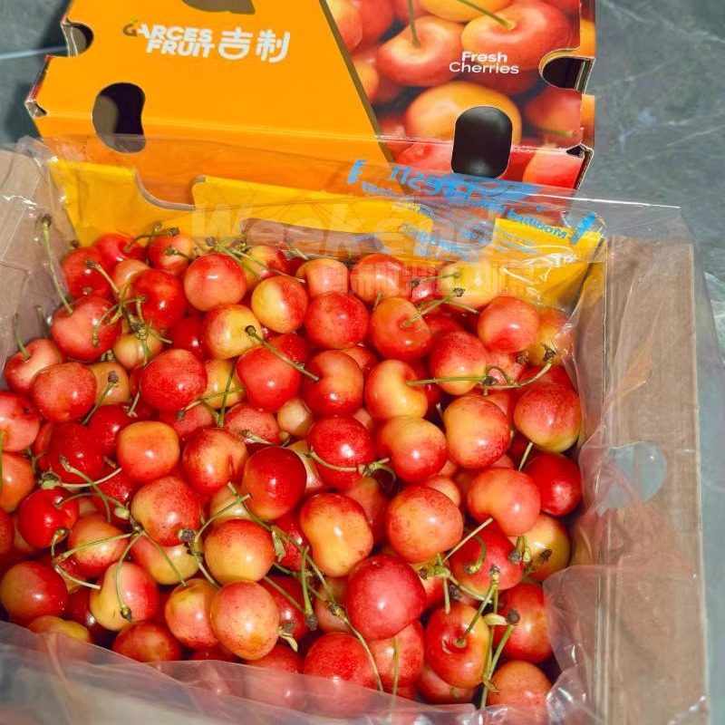 现货智利进口雷尼尔黄金车厘子新鲜水果4JJJJ黄色大樱桃2斤礼盒,淘宝优惠券,粉丝福利购,淘宝优惠卷