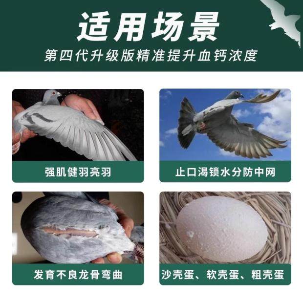 搏冠大力补能量钙信鸽用品赛鸽鸟磷钙液观赏鸽能量钙非鸽药鸽子药 - 图0