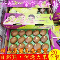 Zifeng Qi Exotic Fruits Shaanxi Xu Fragrant Green Heart Chic Exotic Fruit Original Box Gift Box 20 Heads When Season Fresh Pregnant Women Fruits