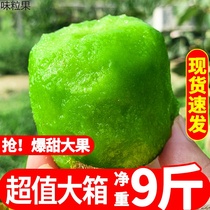 Shaanxi Week to Green Heart Kiwifruit Fresh 10 Big fruits When the whole box of fruit catty pregnant women make kiwifruit