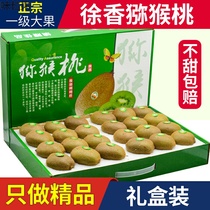 (Super Sweet Mega Fruits) 10 catties Shaanxi Xu Xiangqi Exotic Fruits Green Hearts Chisu Fresh Authentic Fruit Gift Boxes 5