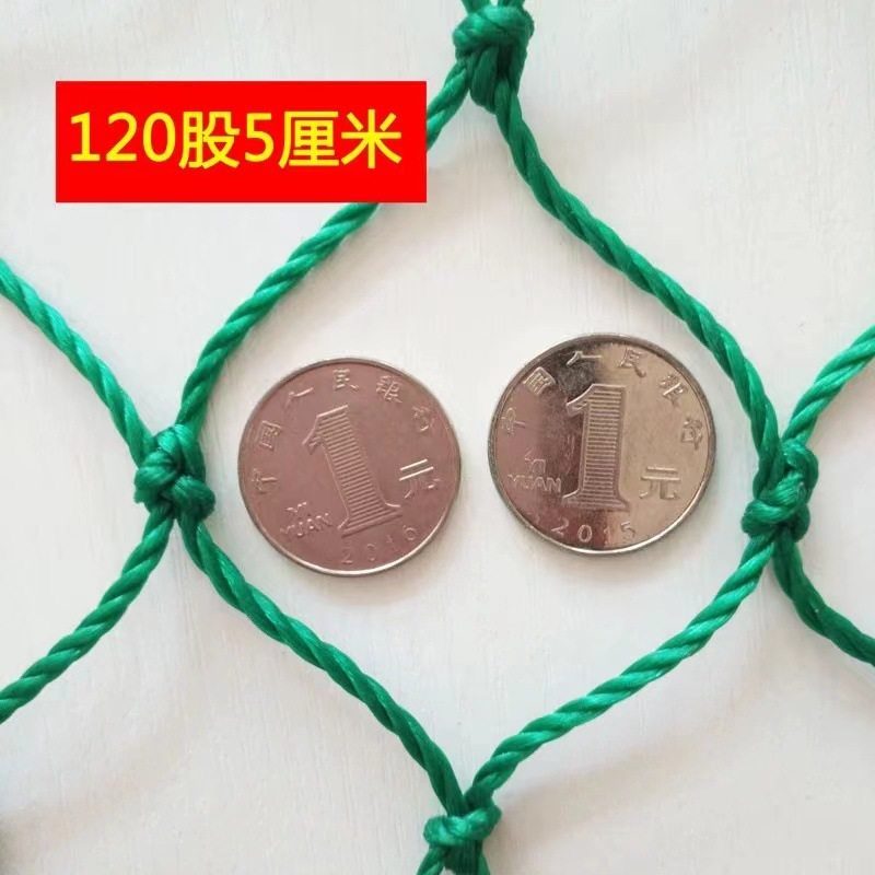 植物百香果爬藤网攀爬网瓜蒌葡萄丝瓜吊瓜豆角网黄瓜种植网搭架网