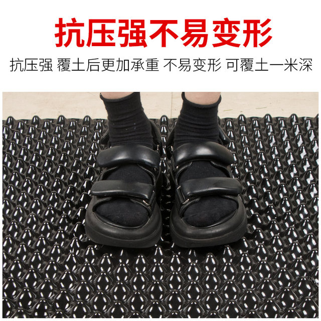 Drainage board roof garden root prevention and control