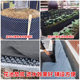 Drainage board roof garden root prevention and control
