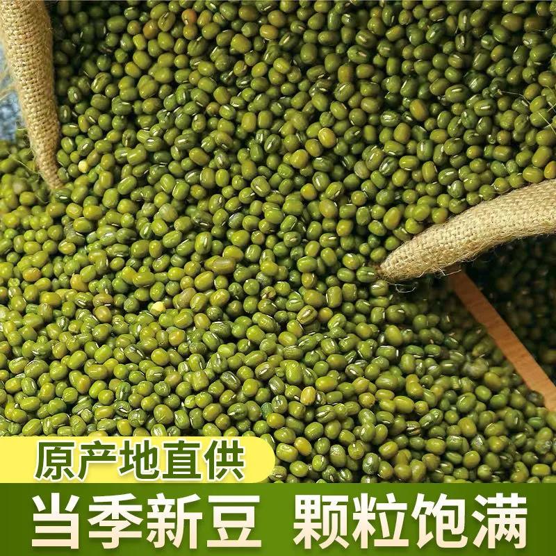 东北农家小绿豆新货500克可做绿豆糕绿豆汤发豆芽消暑易煮五谷杂-图0