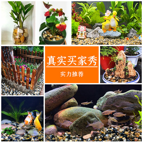 溪流石鱼缸底砂原生溪沙水草缸乌龟缸造景鹅卵石水族箱底部火山石 - 图1