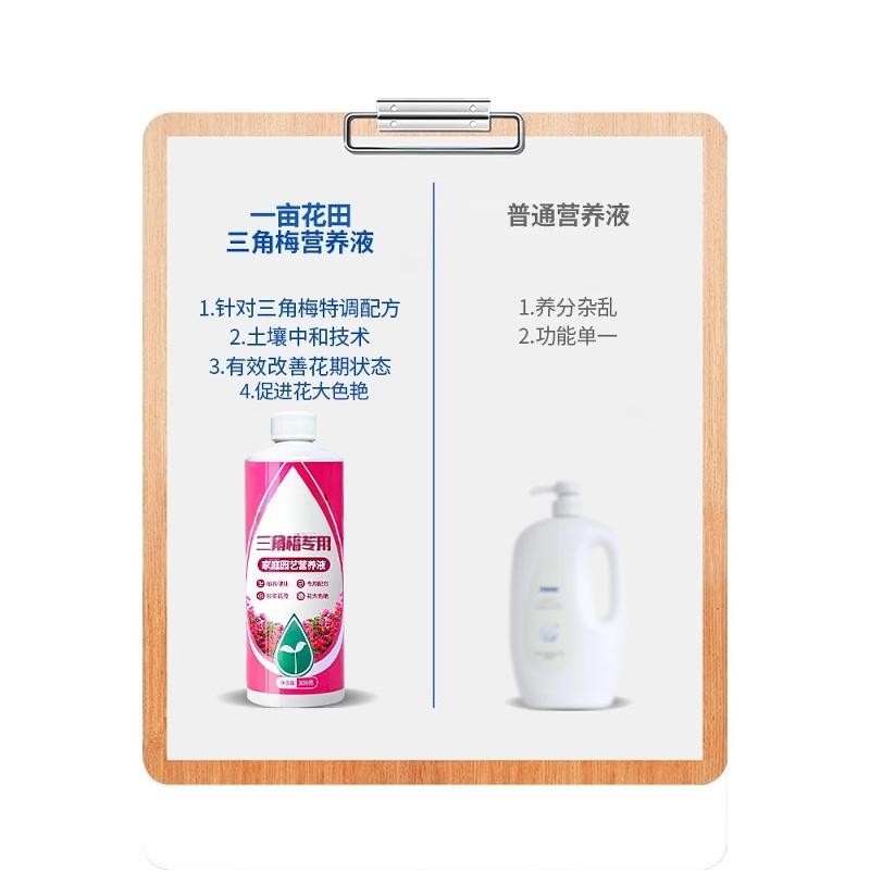 三角梅开花专用营养液肥促花爆花骨粉复合肥料养花枝繁叶茂促开花,淘宝优惠券,粉丝福利购,淘宝优惠卷
