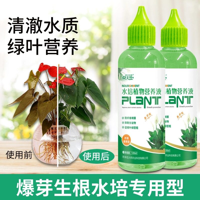 水培植物专用营养液富贵竹转运竹巴西木郁金香绿萝铜钱草通用肥料,淘宝优惠券,粉丝福利购,淘宝优惠卷