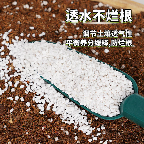 珍珠岩除尘大颗粒养花通用营养土多肉兰种植育苗膨胀保温硬质植料 - 图0