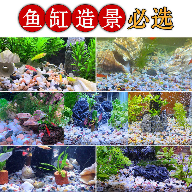 天然雨花石原石鱼缸底砂火山石造景小石头装饰彩色石子五花石龟缸,淘宝优惠券,粉丝福利购,淘宝优惠卷