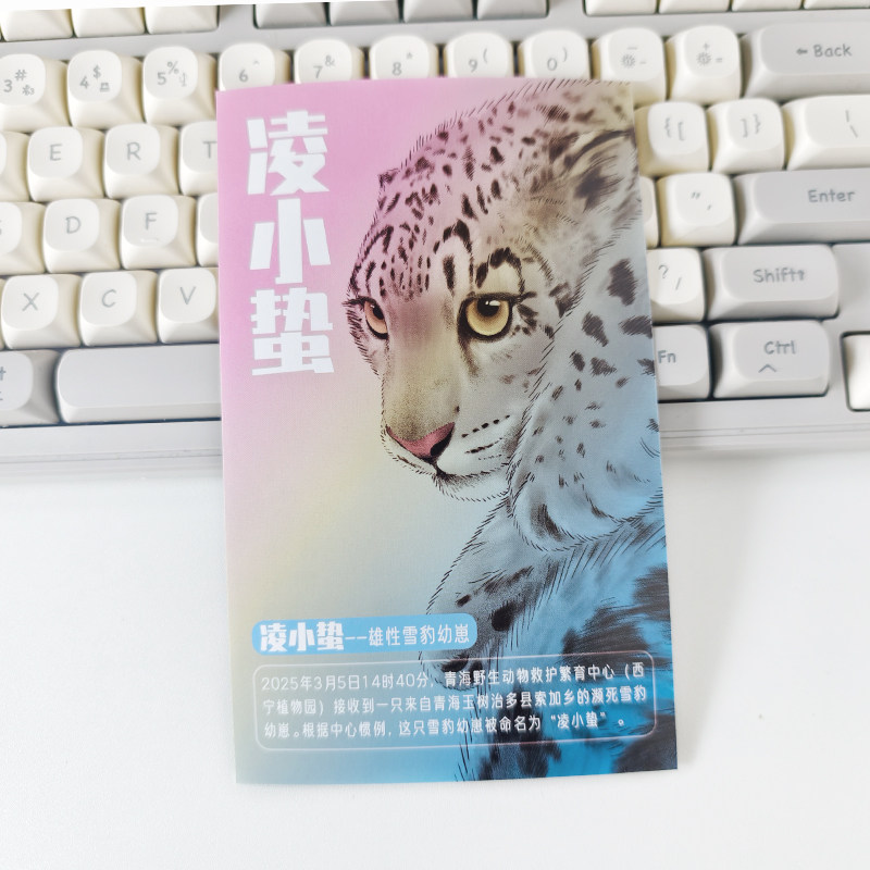 【专项资助】凌小蛰爪印明信片西宁野生动物园生态文创,淘宝优惠券,粉丝福利购,淘宝优惠卷