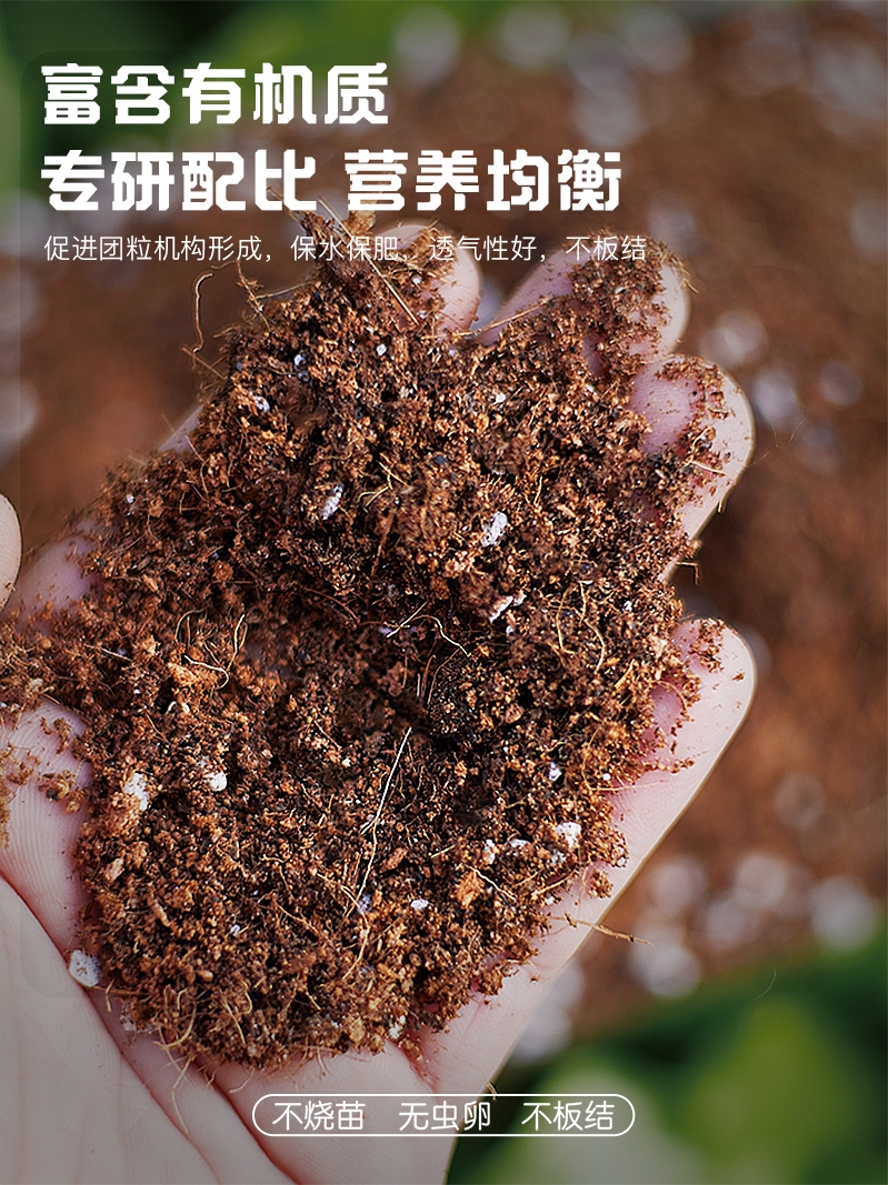 营养土种菜专用种菜专用土土壤种植土种菜土阳台蔬菜营养土种植土 - 图2