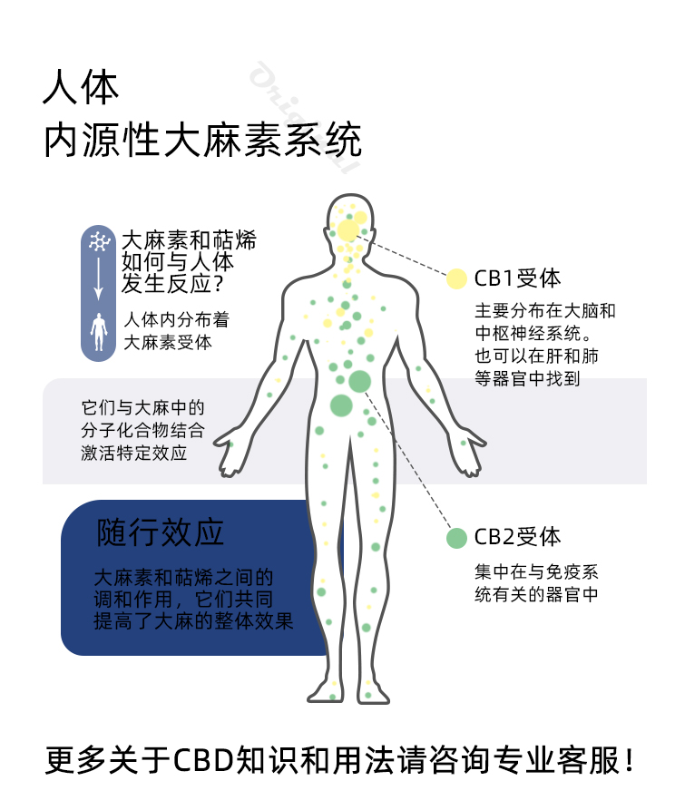 2000mg 精油工业大麻二酚雾化护肤高浓度助眠睡眠安神神器 10mlCBD 2000mg 精油工业大麻二酚雾化护肤高浓度助眠睡眠安神神器 10mlCBD