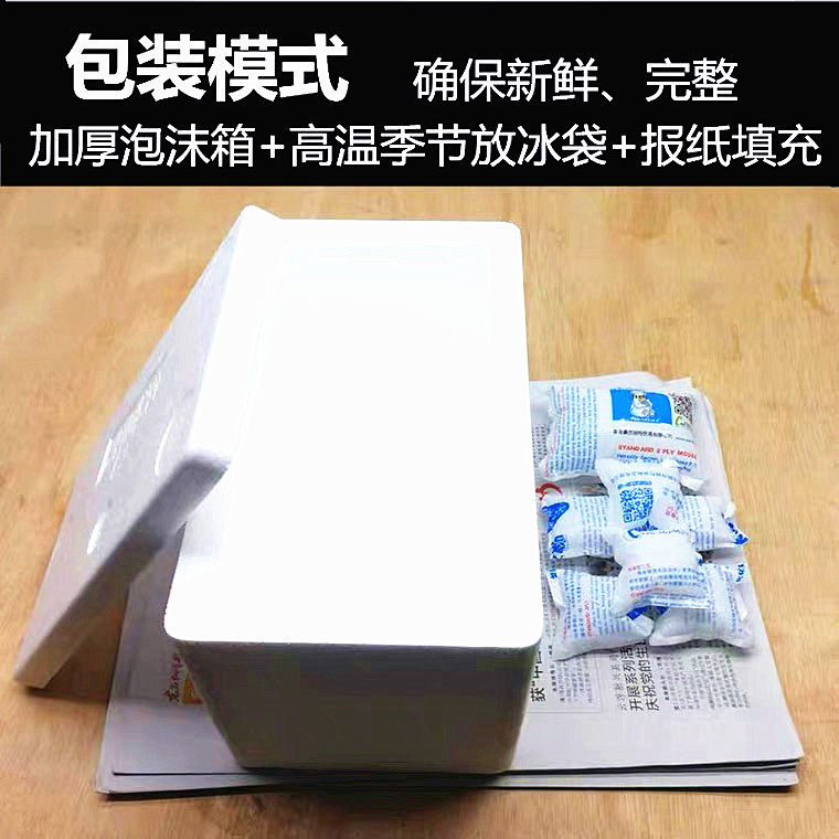 前景水草阴性草鱼缸装饰造景植物迷你草固定淡水增氧懒人入门套餐,淘宝优惠券,粉丝福利购,淘宝优惠卷