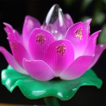 New small lights branch long leaves lotus lantern Buddha for lanterns and lanterns for the Buddha jade for the lamp Buddha with Buddhist use 