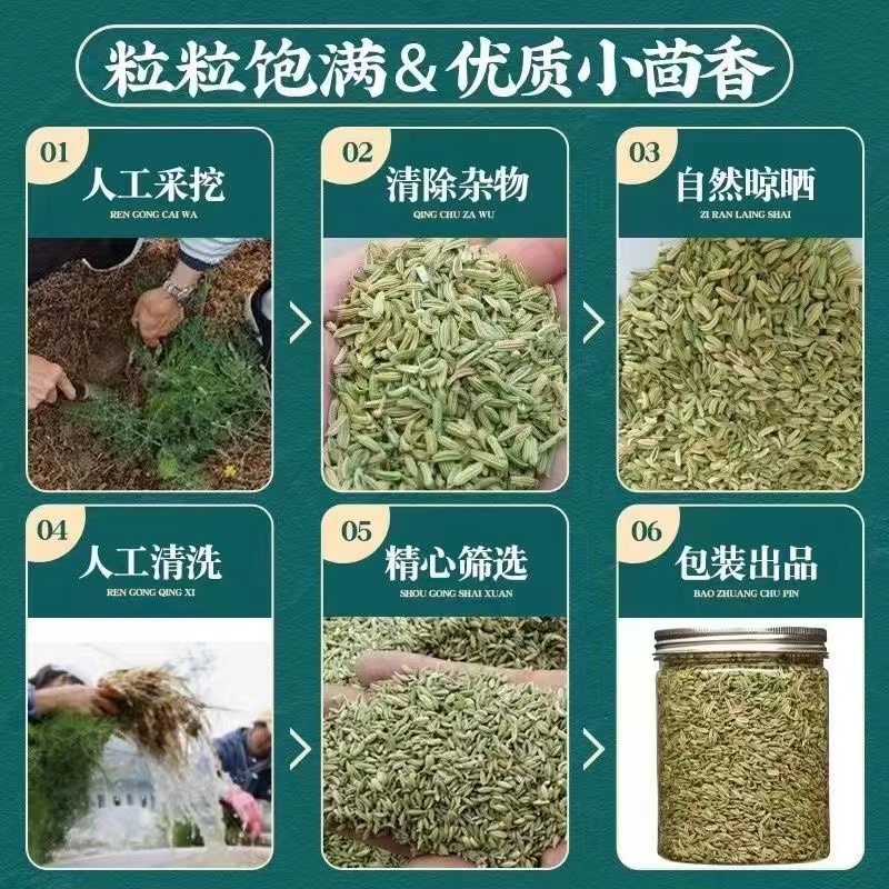 甘肃小茴香茴香籽包邮香料家用散装做菜调料干货无硫小茴香 - 图2