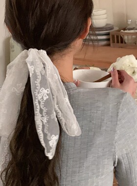 蕾丝蝴蝶结飘带发绳女丝带绑发多功能发圈小长条法式少女头饰发饰