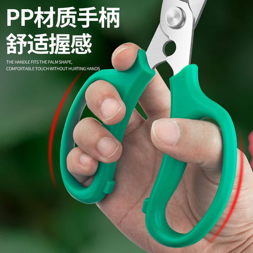 花剪修枝剪花艺师专用插花剪刀不锈钢玫瑰打刺剪刀花卉修花剪枝剪 - 图2