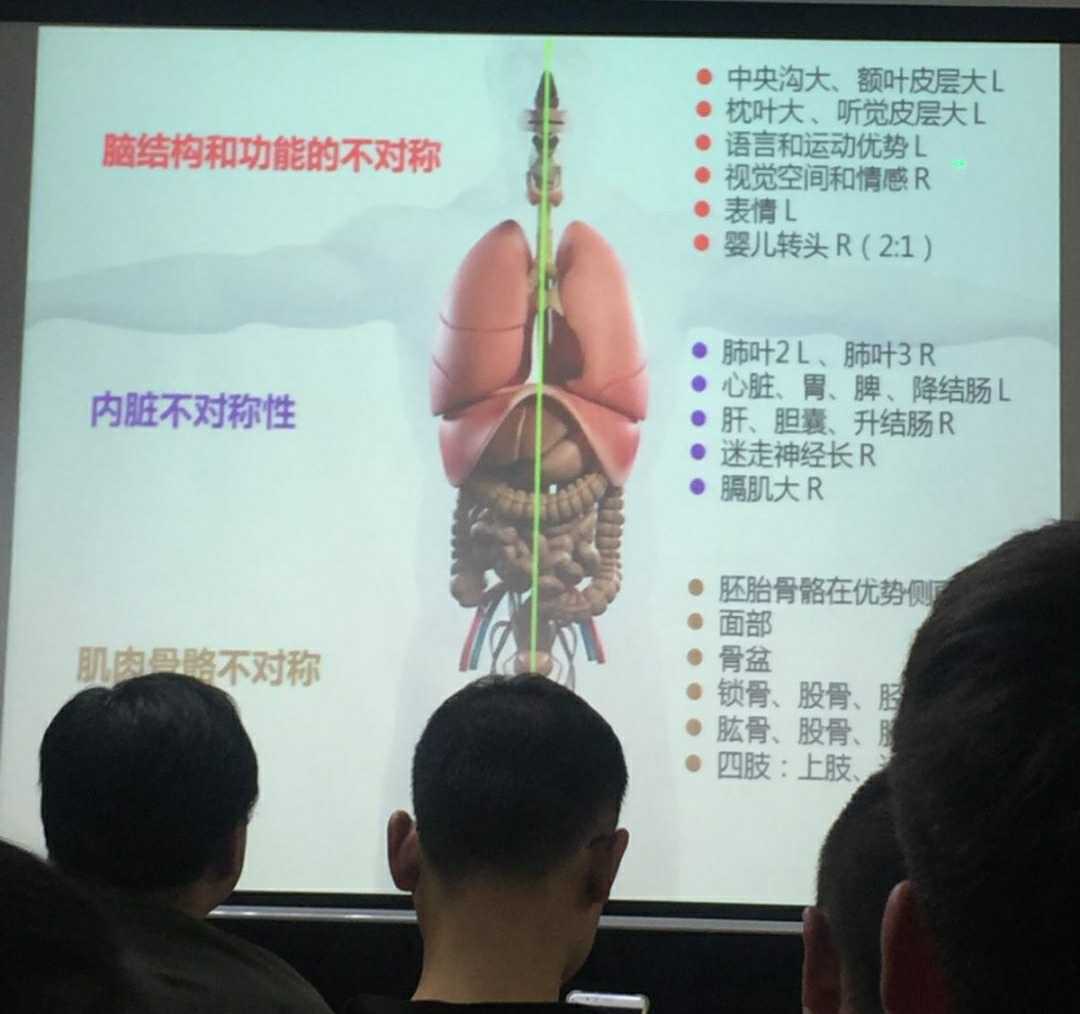 2021不对称结构和功能异常呼吸模式pri呼吸康复训练精品课程视频 - 图1