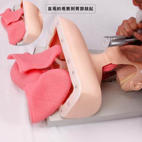 高级气道管理模拟人 J50高级人体气管插管训练模型 - 图2