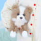ຕຸກກະຕາ plush puppy ຊາຍແດນ