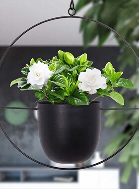 吊盆铁艺悬挂水培植物吊兰吊饰