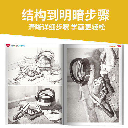 讲透素描一本通 零素描基础教程美术绘画书籍教学材临摹范画画入门新手自学铅笔手绘静物单体组合石膏几何体人物头像初学画册 - 图2